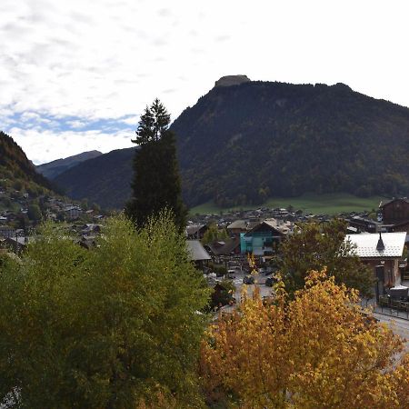 Appartement Morzine, 2 pièces, 4 personnes - FR-1-524-79 Esterno foto